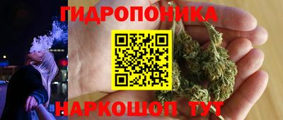 индика Краснокаменск