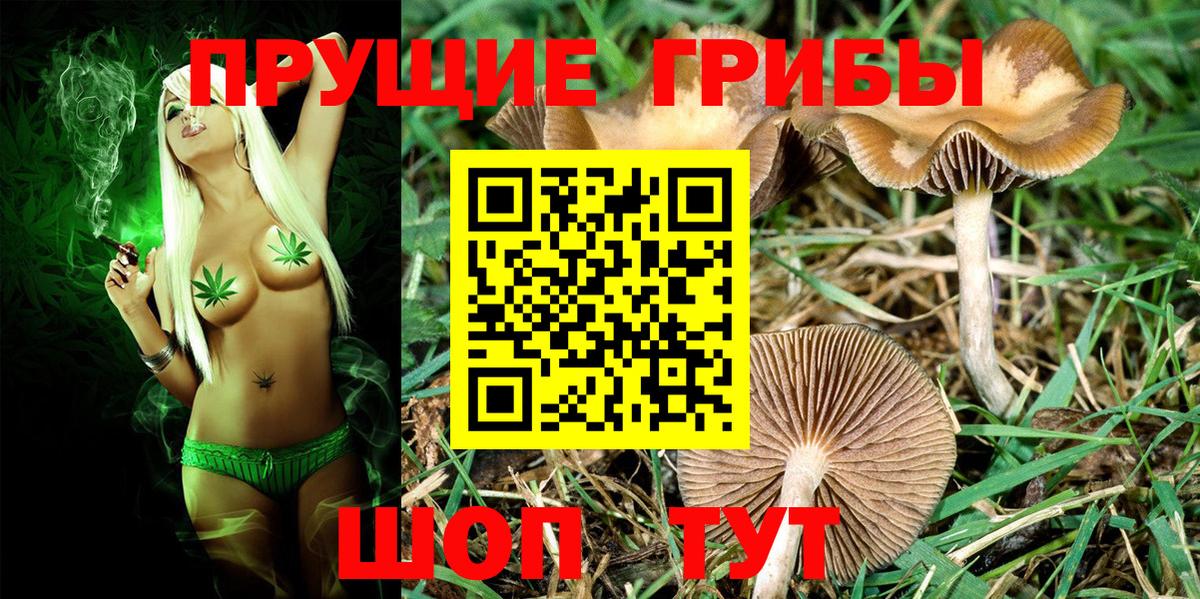 Дюртюли  Псилоцибиновые грибы Magic Shrooms  Вход с VPN 